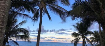 Coconut Beach Homestay