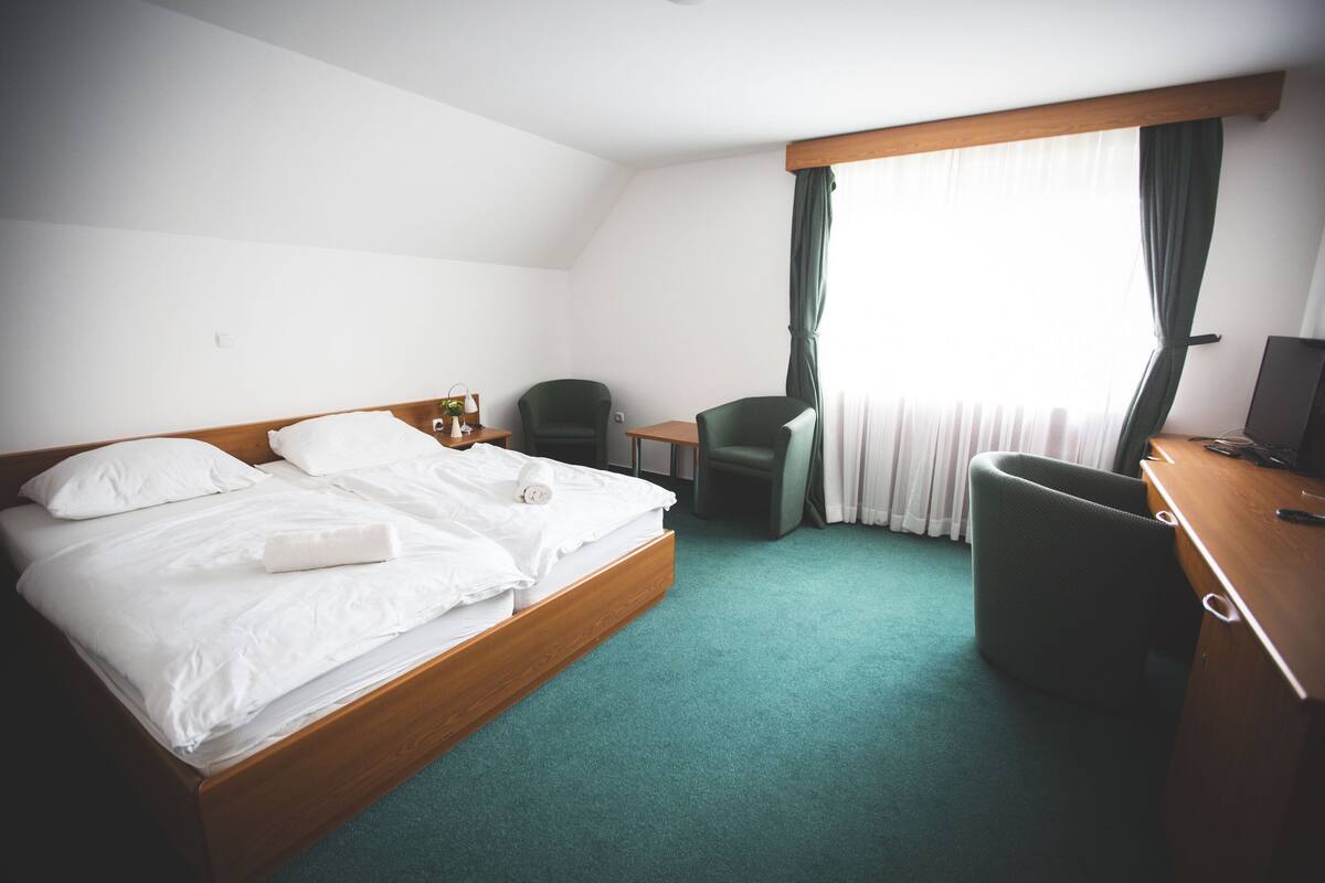 A hotel room with a bed, a desk, a chair, and a television.