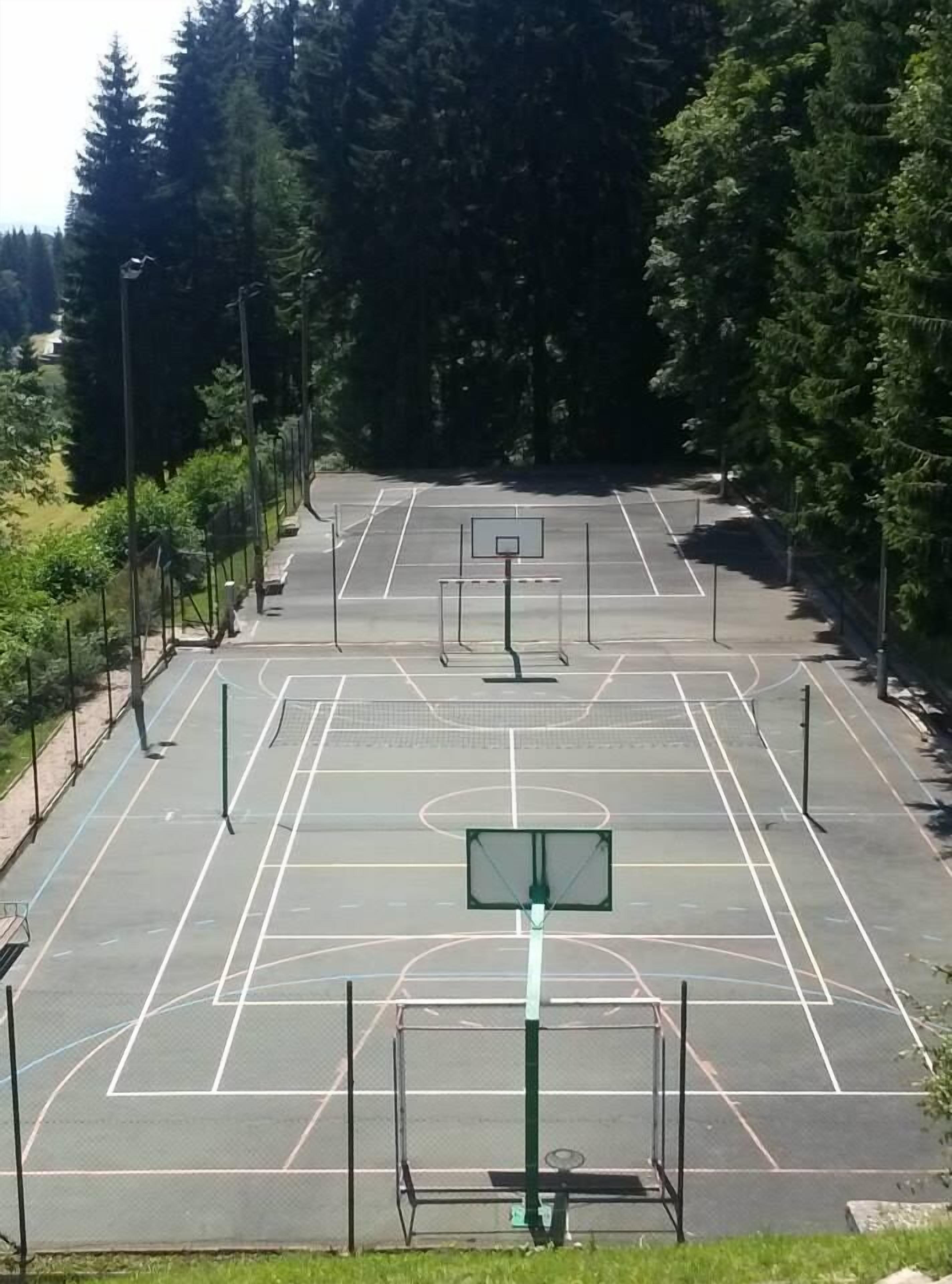 Een buitenbasketbalveld met twee korven, omgeven door bomen en een hek.
