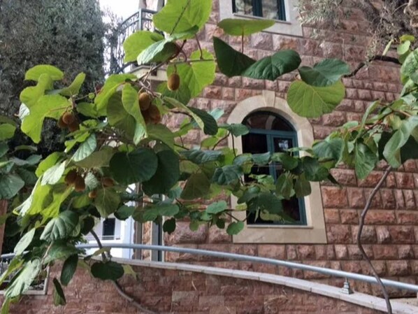 Detalle del exterior