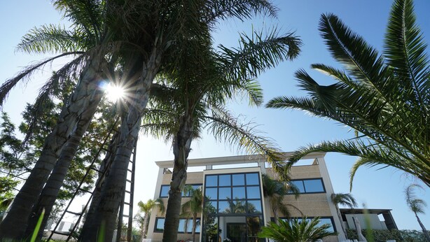 Un bâtiment moderne doté de grandes fenêtres et d’une pelouse bien entretenue agrémentée de palmiers.