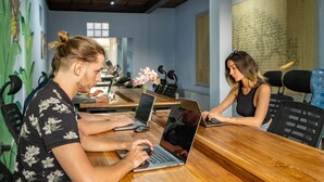 Um espaço de escritório moderno com mesas e cadeiras de madeira, laptops e plantas decorativas.