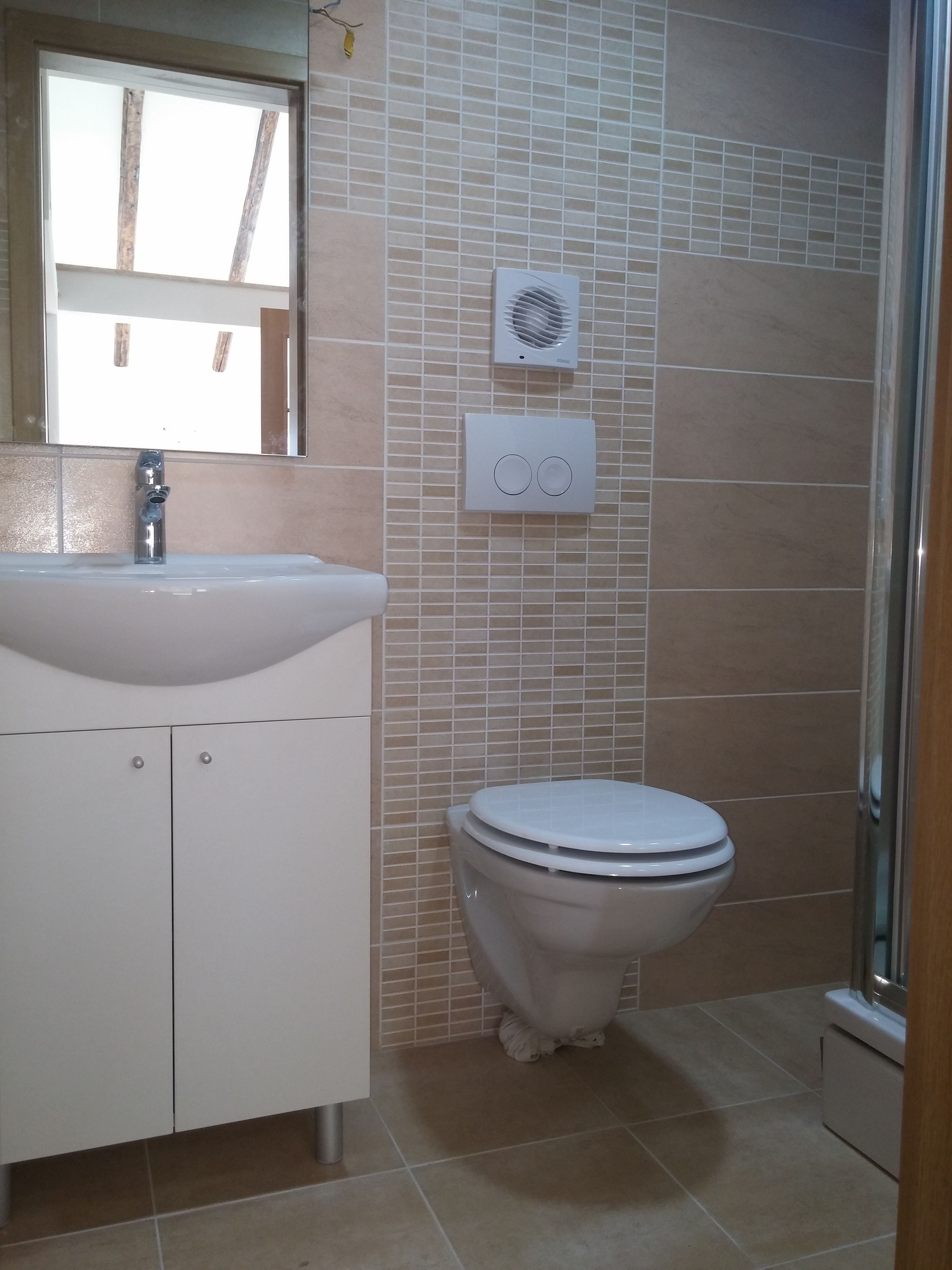 A bathroom with a white sink, a toilet, and a shower.