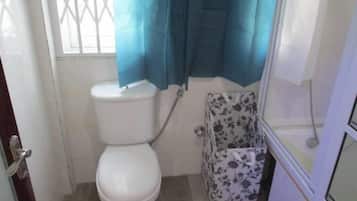 Luxury Apartment | Bathroom | Combined shower/tub, towels, soap, toilet paper