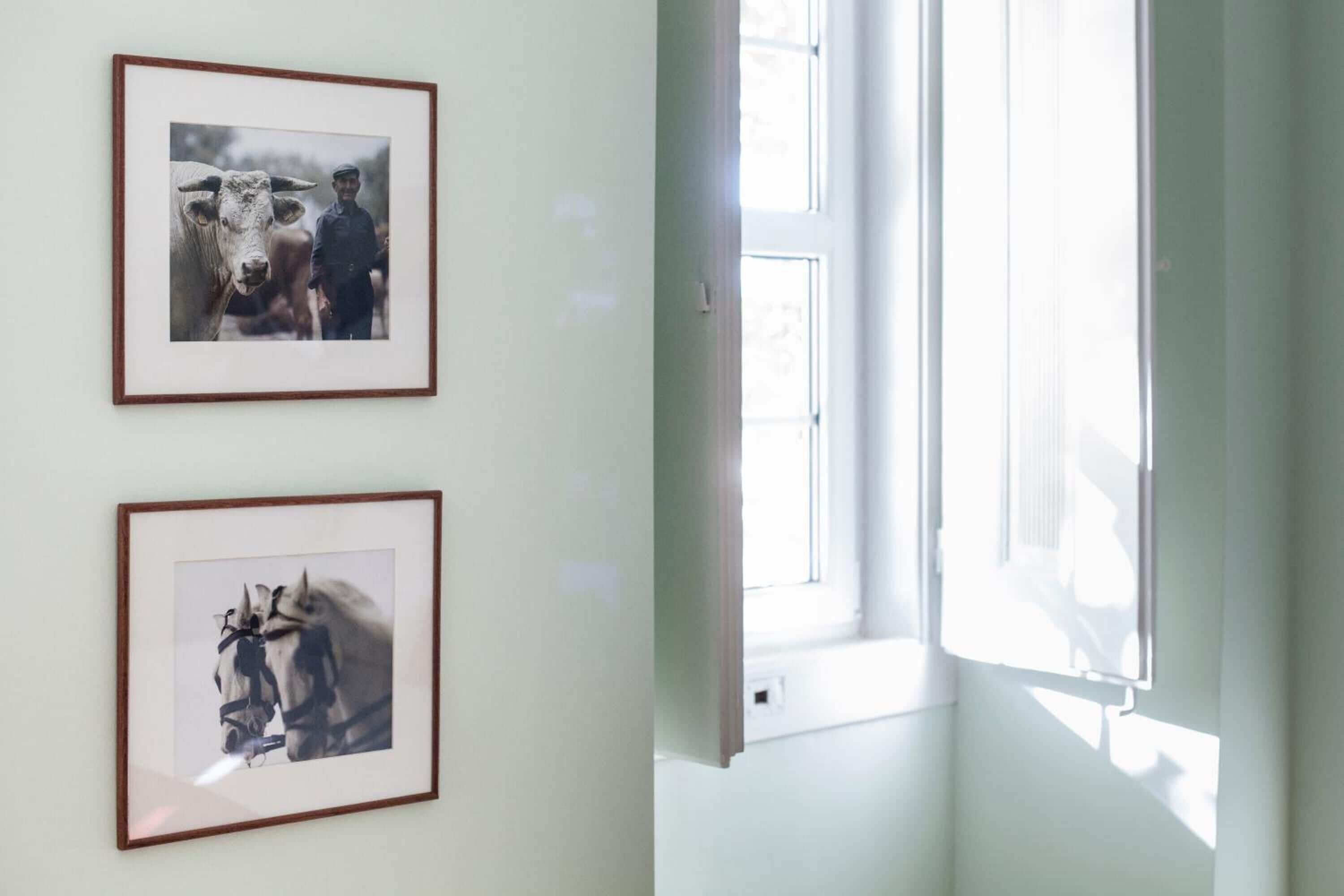 Two framed photographs on a wall, a window with blinds, and a door.