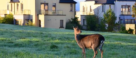 DĂ©tail de lâextĂ©rieur