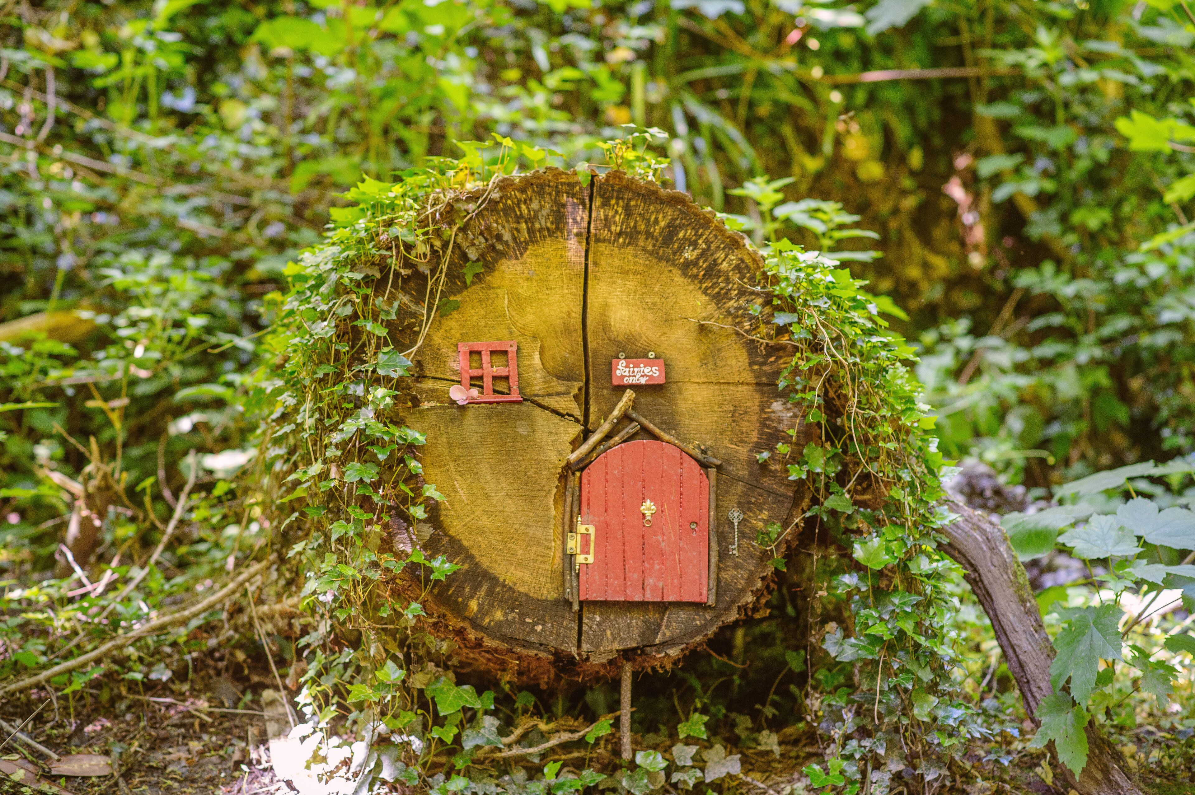 A tree stump with a miniature house and a door, surrounded by greenery.