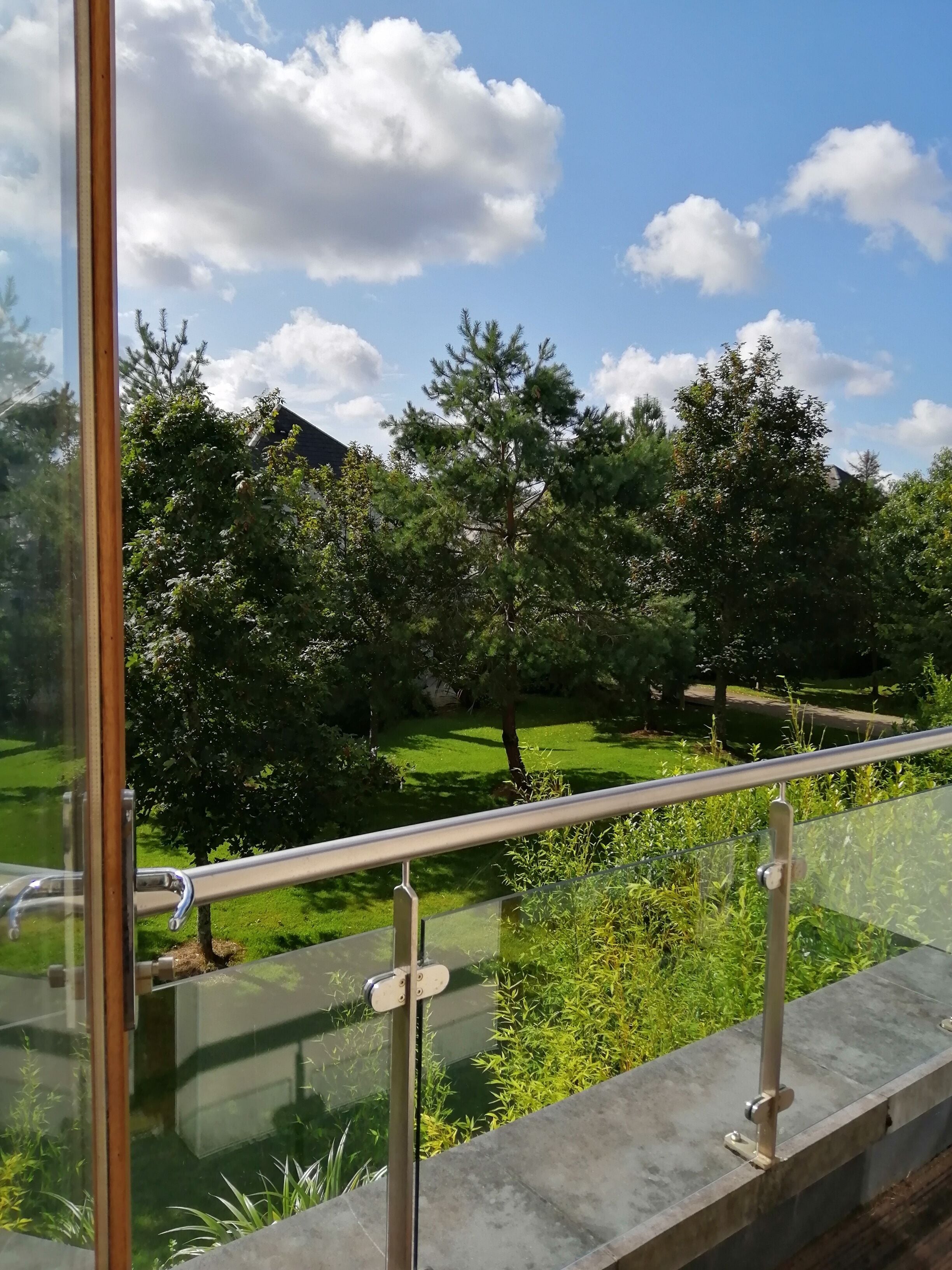 Ringhiera in vetro con vista su un giardino con alberi e prato.