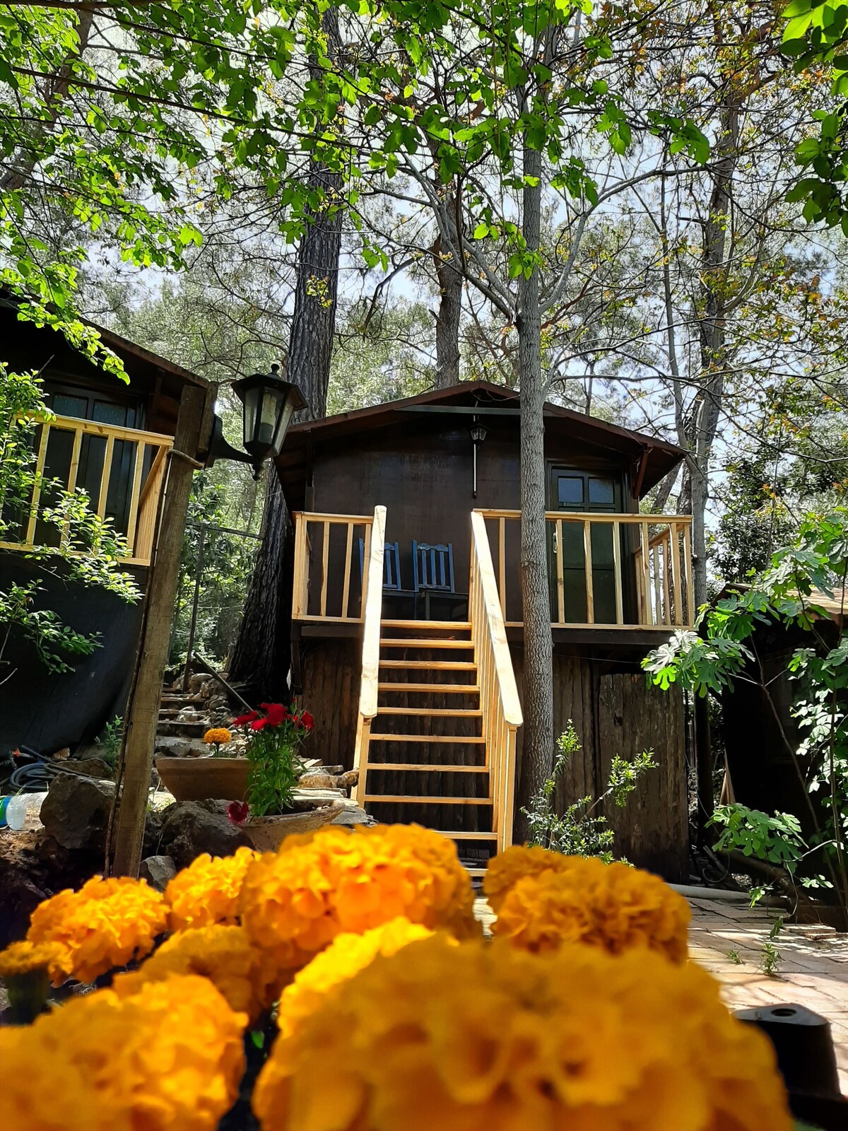 Altaris Bungalows olimpos Antalya vip transfer