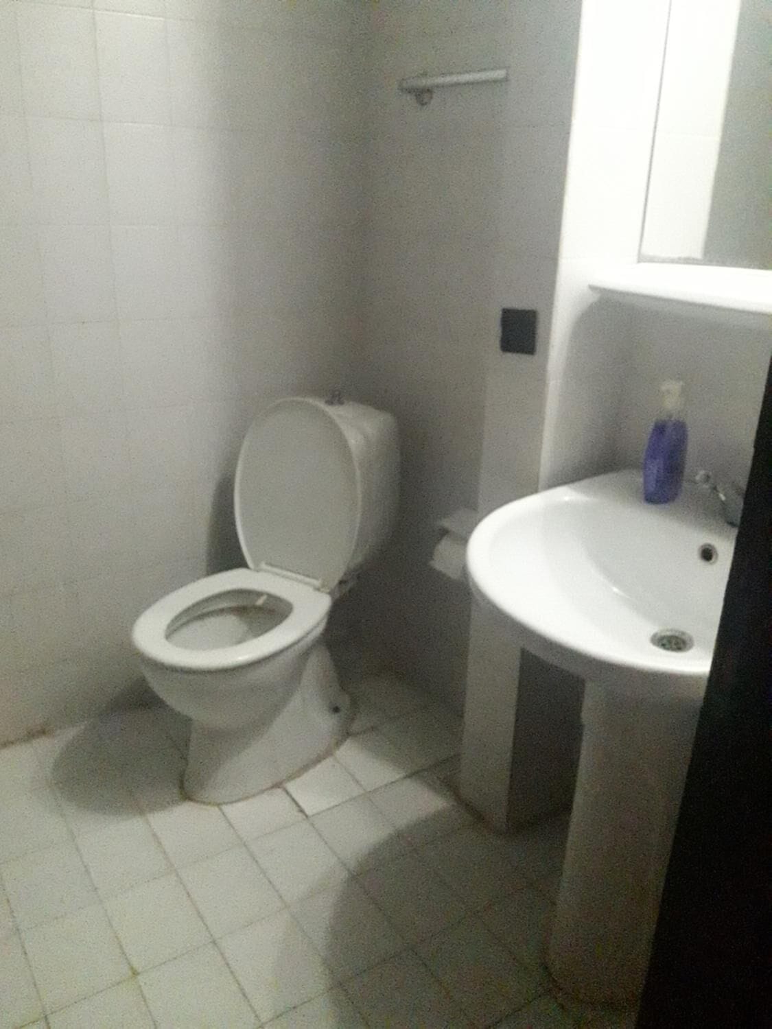 Un baño con inodoro, lavabo y espejo.