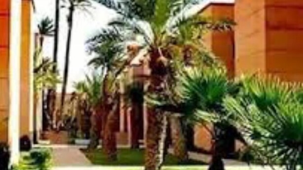 Garden - Dar Ait Elhadri (Marrakech)