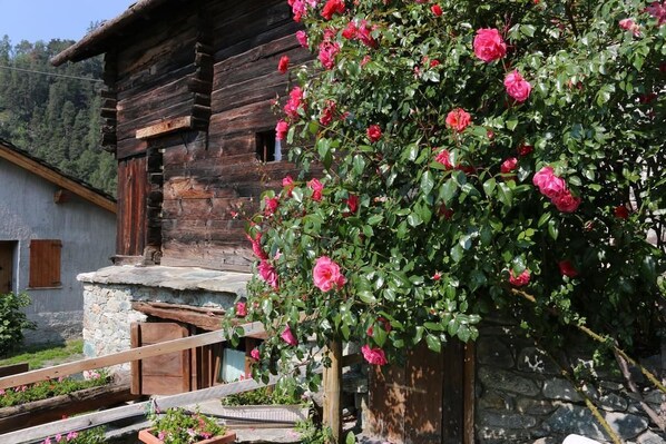 Garden - Lo Verdzè (Torgnon)