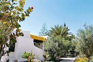Exterior - Dragon Club II (San Bartolomé de Tirajana)