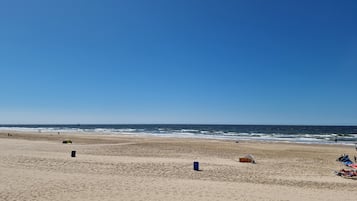 Beach nearby, sun loungers