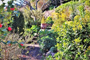 Jardines del alojamiento