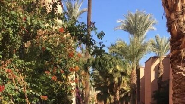 Outdoor pool - Riad Ait Elhadri (Marrakech)