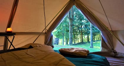 Camping Musetti Angela