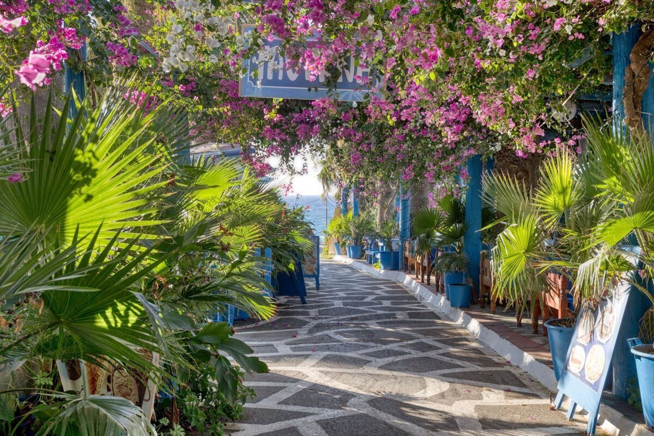 A pathway lined with potted plants and a sign overhead.