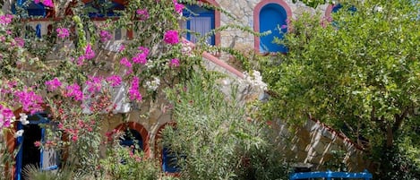 A building with stone walls and blue doors, surrounded by potted plants and a blue bench.