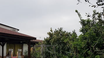 Ngoại thất