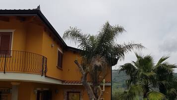 Detalle exterior