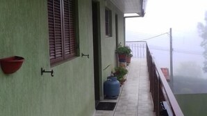 Un balcón cubierto con un muro verde, una ventana con contraventanas y una planta en maceta.