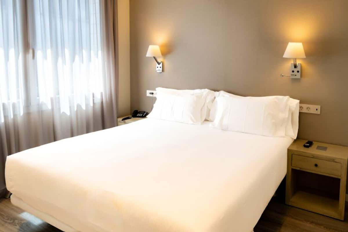 1 slaapkamer, hypoallergeen beddengoed, donsdekens