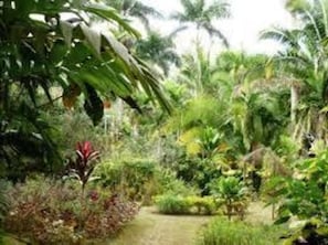 House | Property grounds