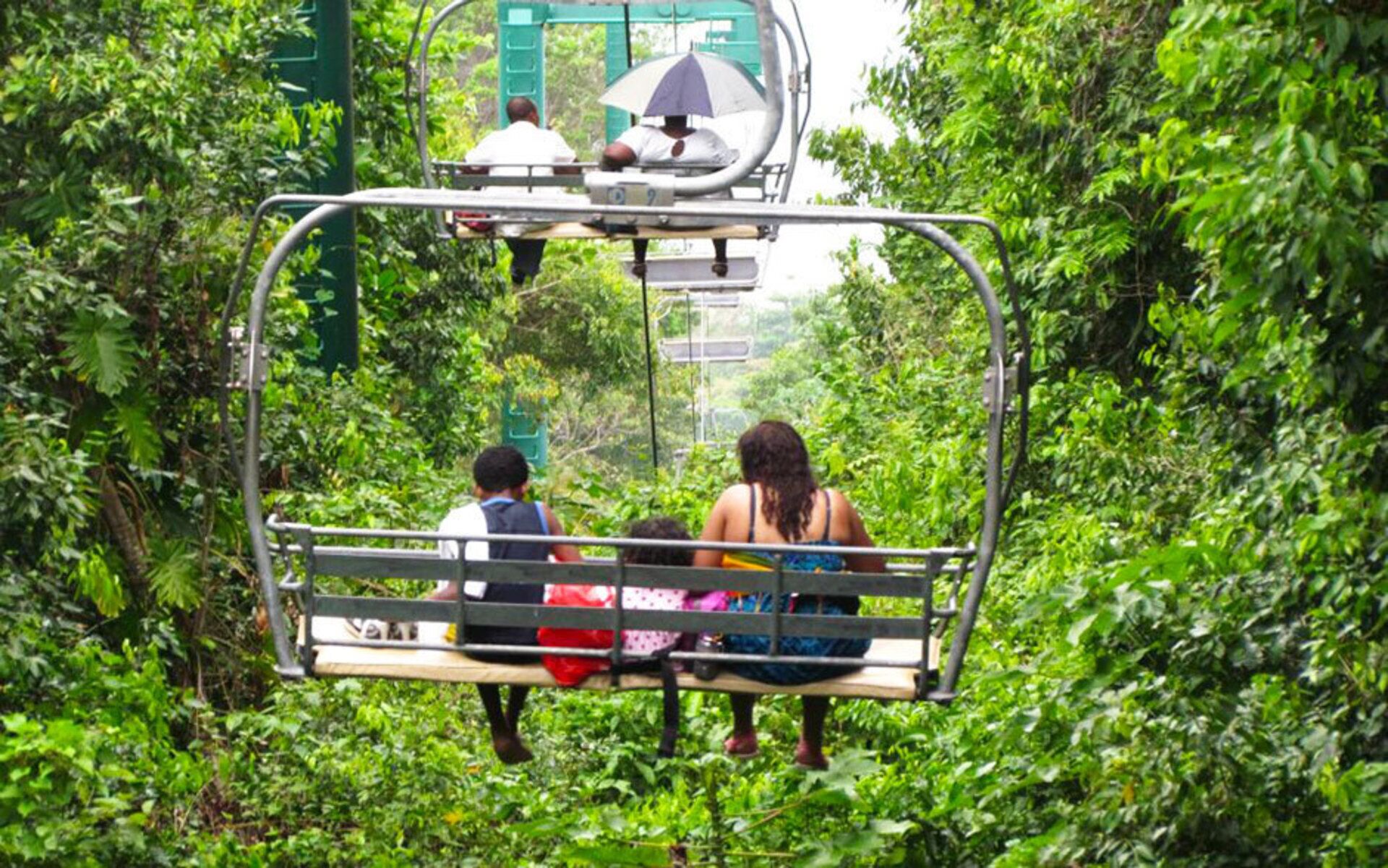 A cable car with passengers, surrounded by dense greenery.