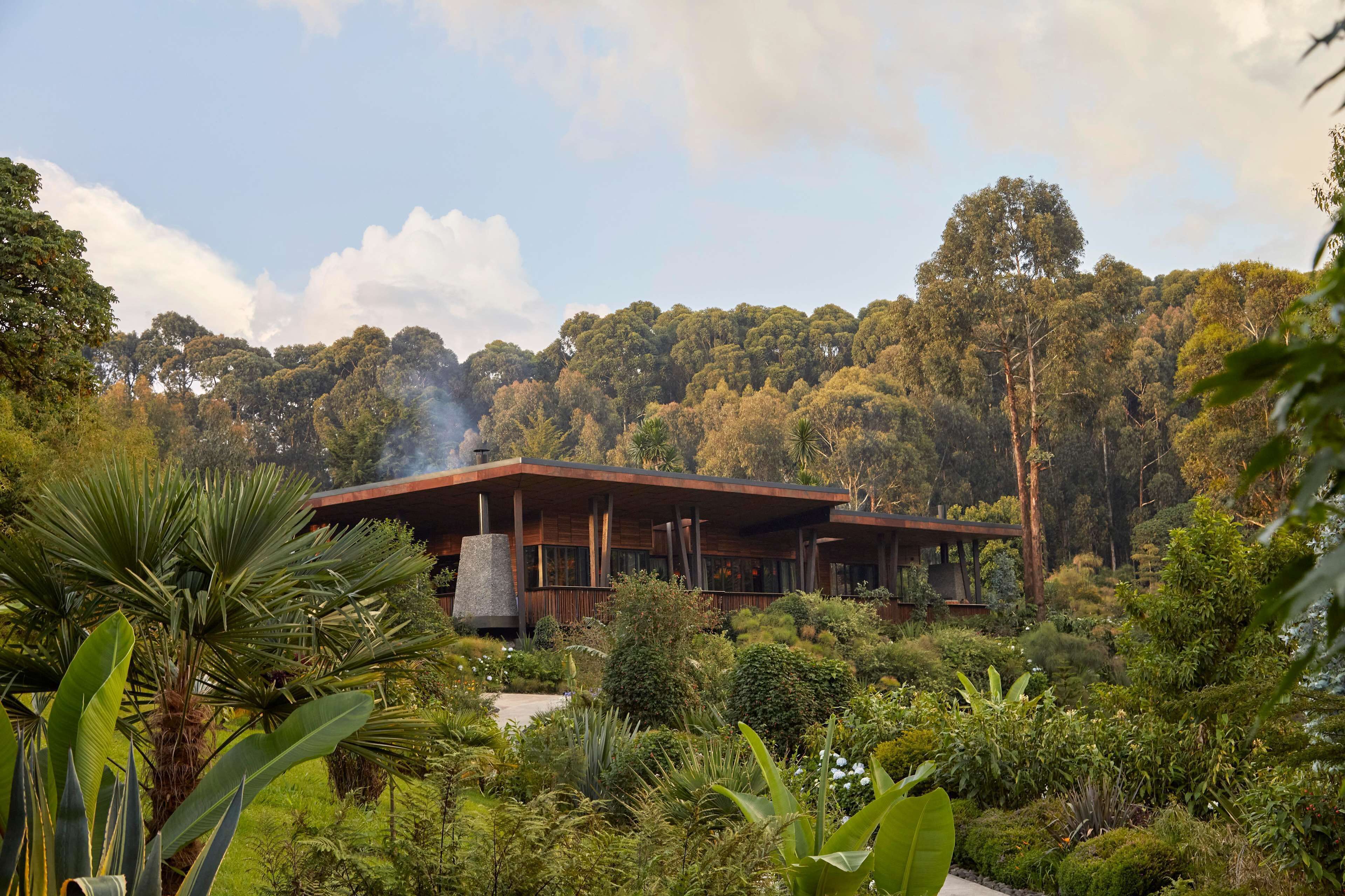 Un edificio moderno rodeado de exuberante vegetación y árboles.