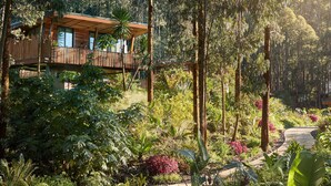 Una casa moderna rodeada de exuberante vegetación y un camino curvo.