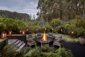 Suite (Silverback) | View from room