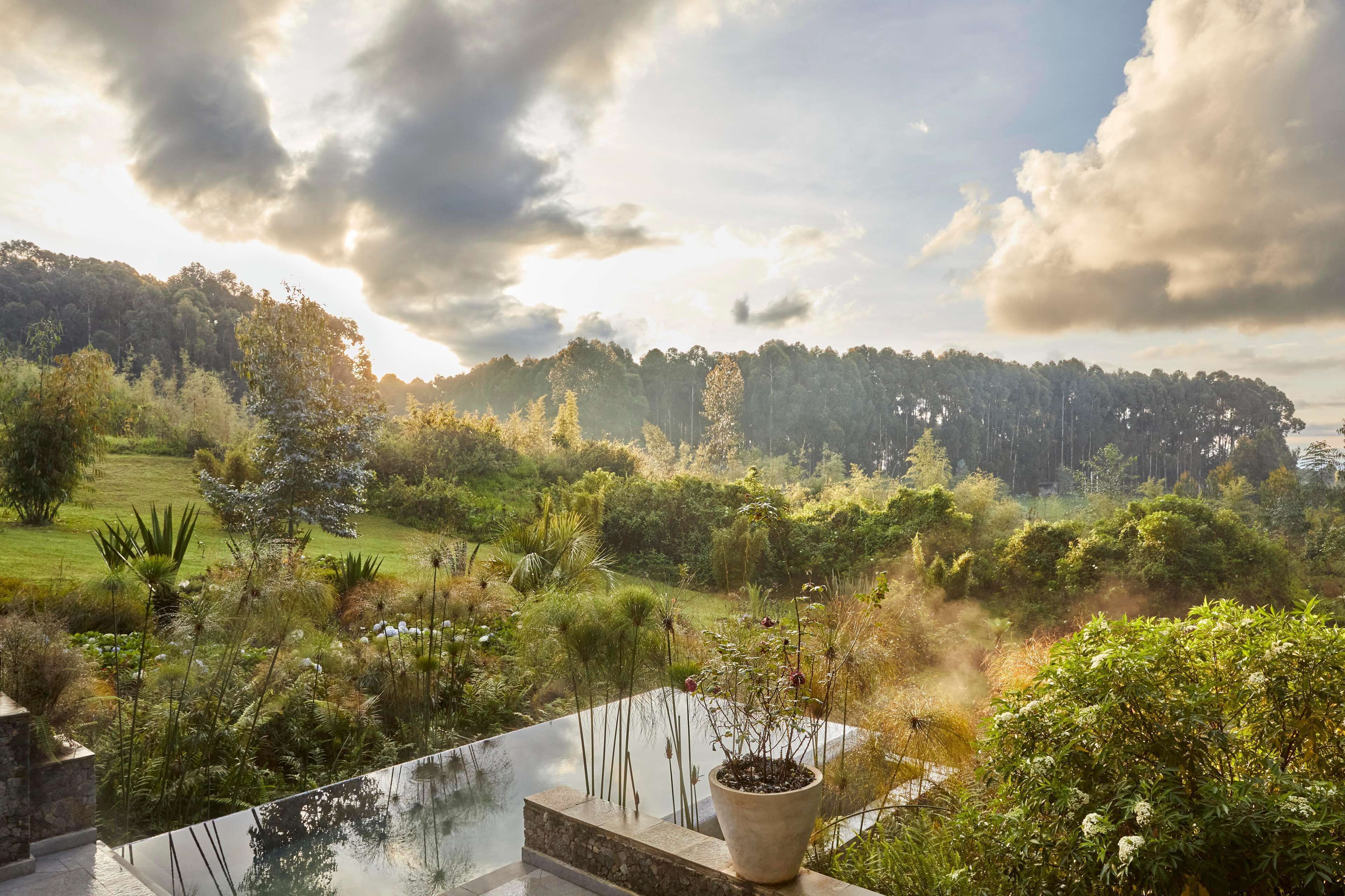 A panoramic view of a lush garden with a variety of plants and trees, a clear sky, and a distant forested hill.