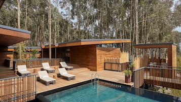 Outdoor pool, pool loungers