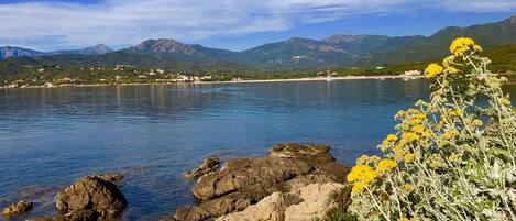 A coastal landscape with rocky shores, clear water, and distant mountains.
