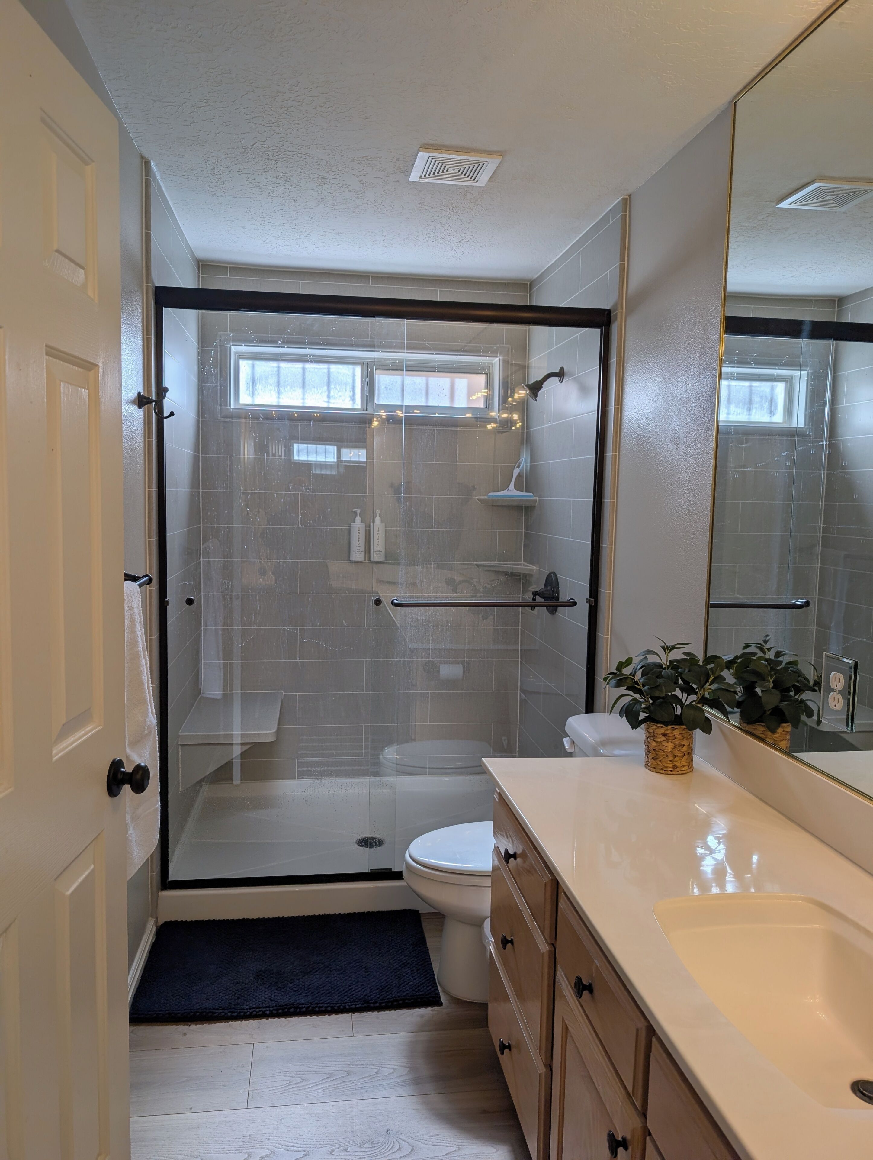 A modern bathroom with a glass-enclosed shower, a toilet, a sink with a mirror, and a small plant on the vanity.