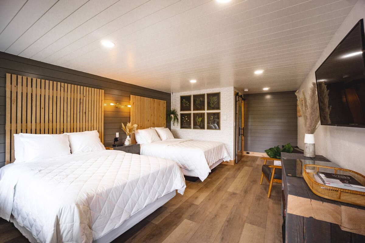 Habitación doble de diseñador, 2 camas Queen size | Edredón, escritorio, wifi gratis y ropa de cama