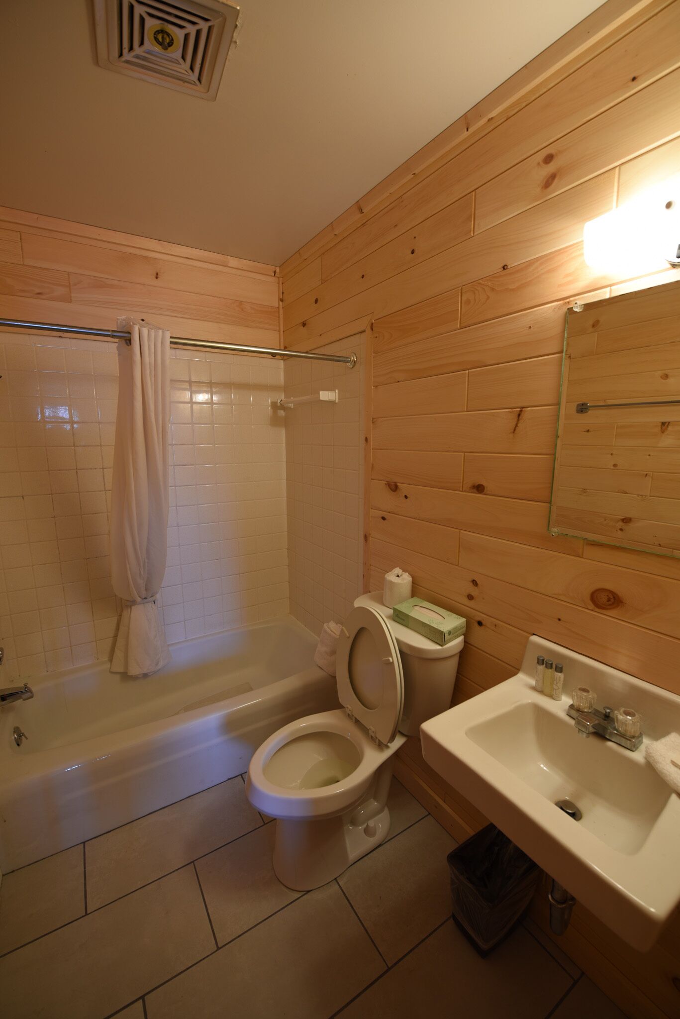 Combined shower/bathtub, towels
