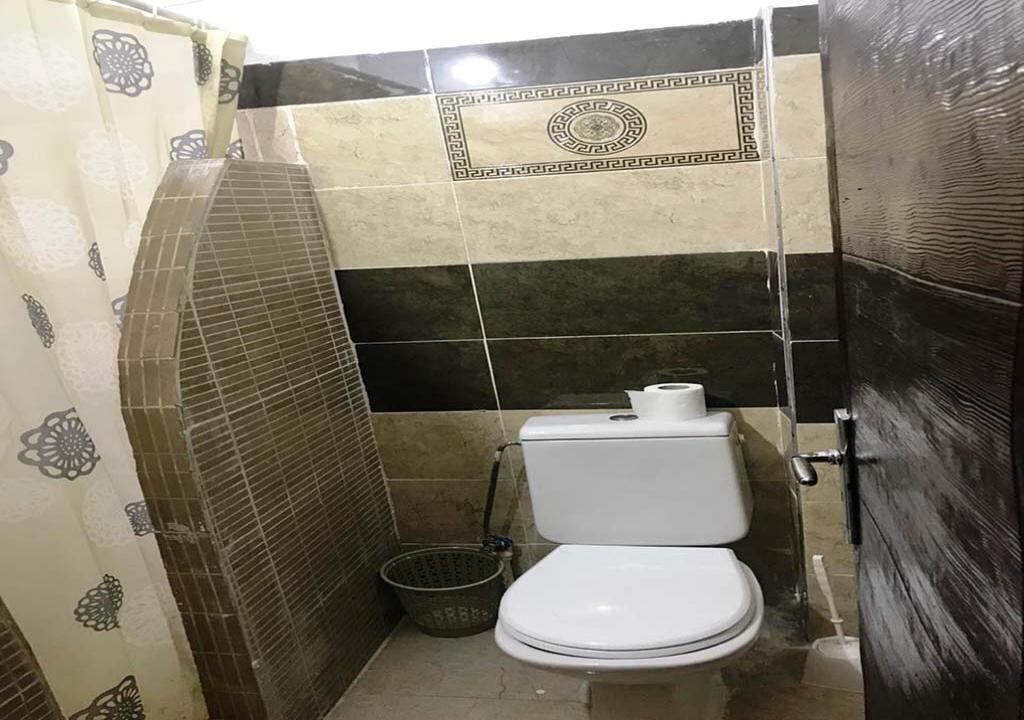 A small bathroom with a toilet, a shower, and a tiled wall with a decorative pattern.