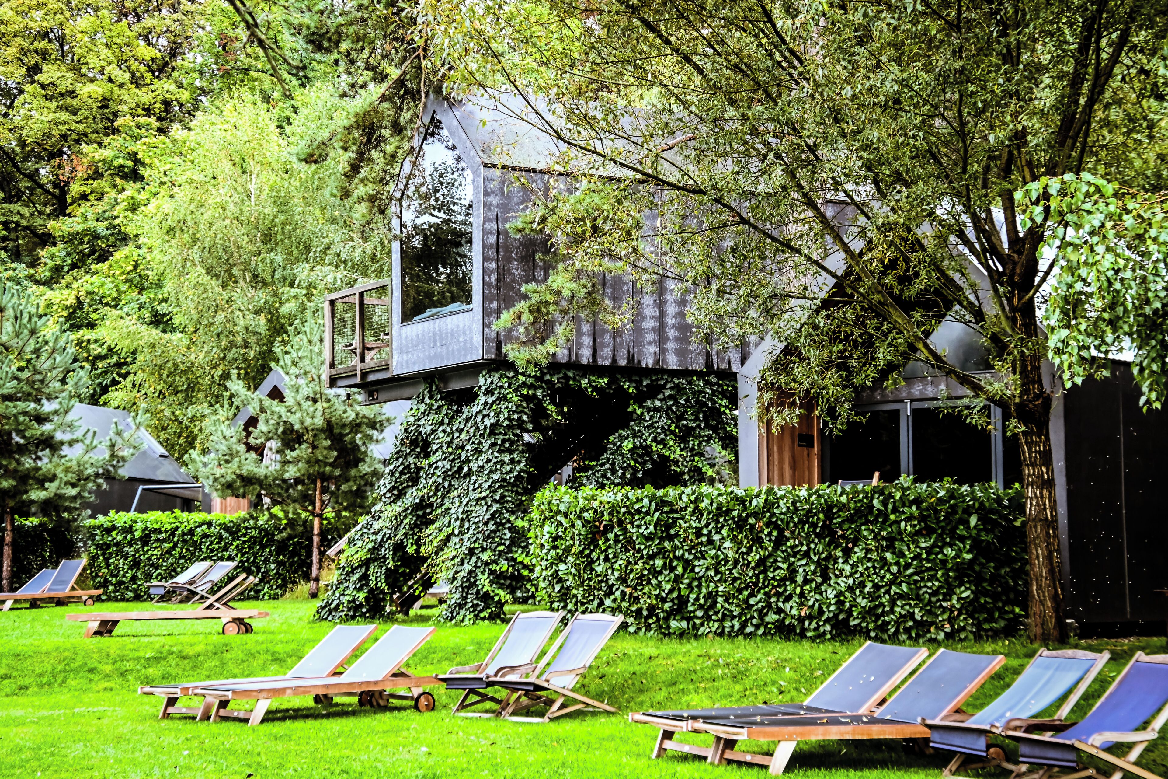 A modern building with a glass exterior, surrounded by lush greenery and equipped with multiple sun loungers.