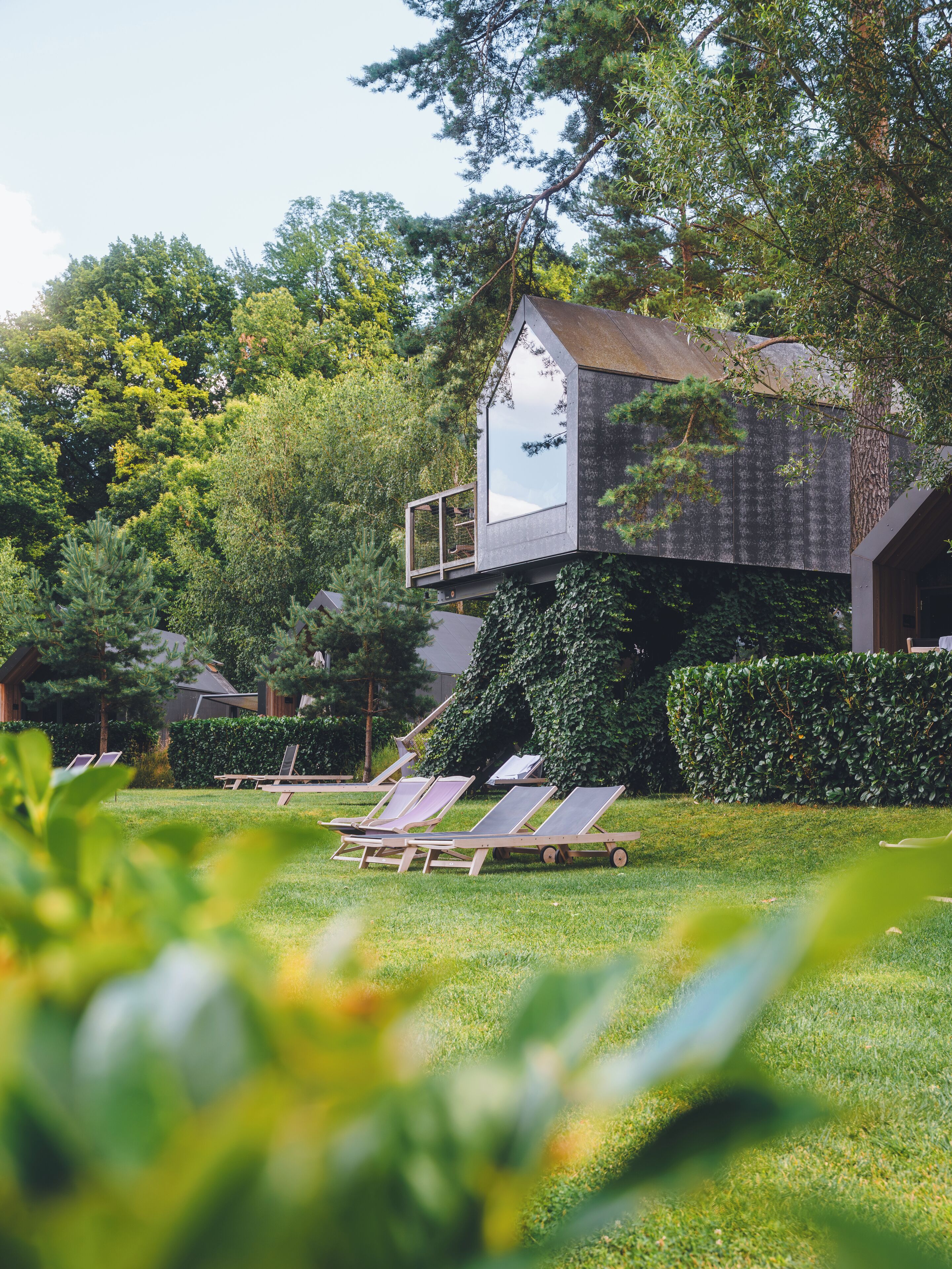 Cabane dans un arbre luxueuse, vue sur le fleuve | Minibar, bureau, rideaux d’obscurcissement, fer et planche à repasser