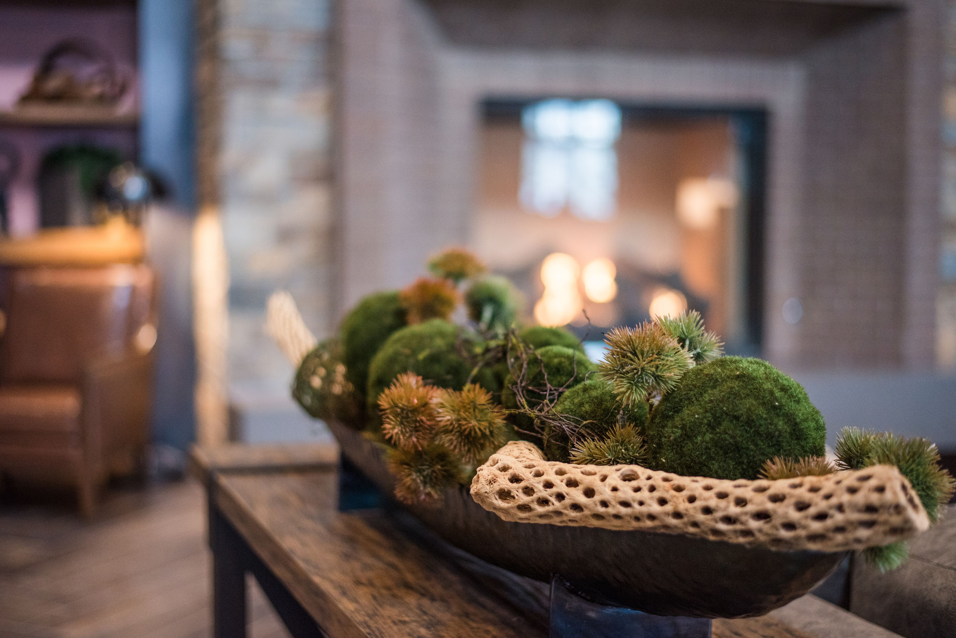 Une table en bois sur laquelle se trouve un bol décoratif contenant différentes plantes.