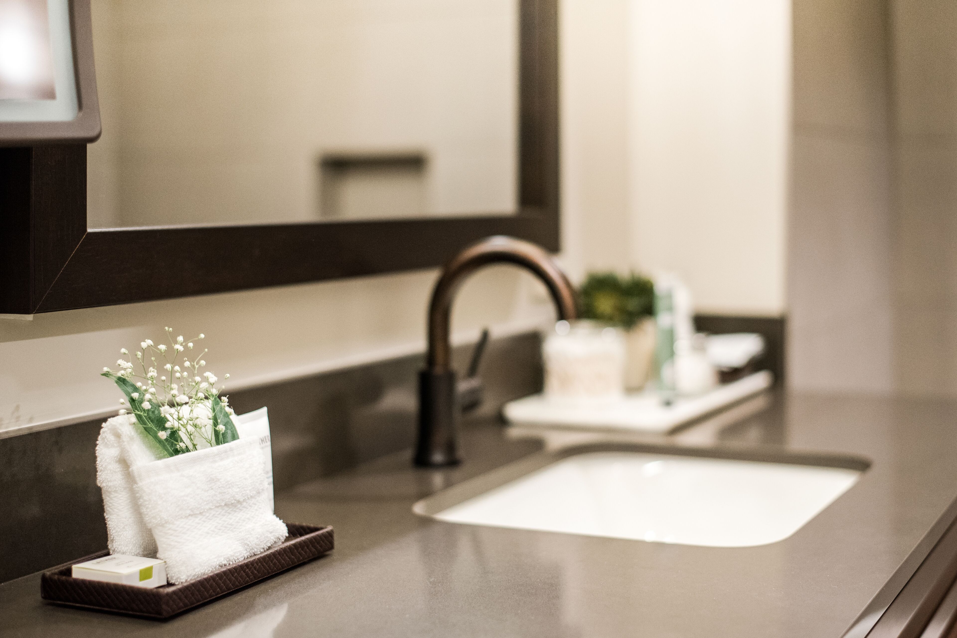 A modern bathroom with a large mirror, a sink, and a towel rack with a decorative plant.