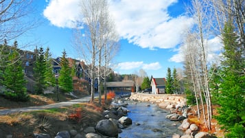 Un río con rocas, árboles y edificios al fondo.