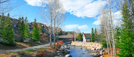 Un río con rocas, árboles y edificios al fondo.