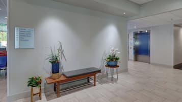 Zona de recepción con un banco, plantas en macetas, un cartel con indicaciones de las habitaciones y un ascensor.