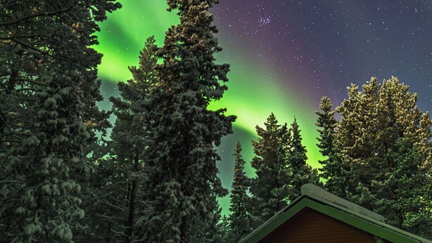 Una cabaña con puerta y ventanas verdes, rodeada de árboles cubiertos de nieve y auroras boreales.