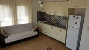 Lejlighed - 1 soveværelse | Privat tekøkken | Køleskab/fryser i fuld størrelse, kogeplade