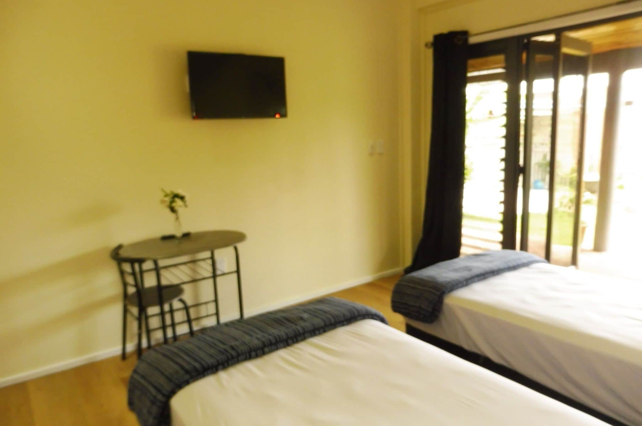 A room with two beds, a small table with a plant, and a TV mounted on the wall.