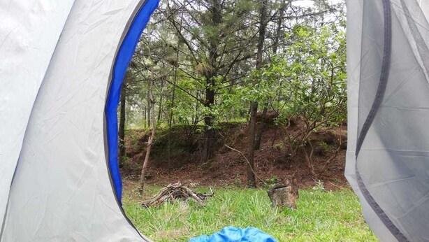 Ein Zelt mit Blick auf ein bewaldetes Gebiet.